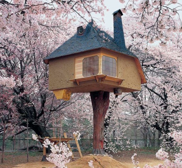 Arsitektur Rumah Pohon Jepang